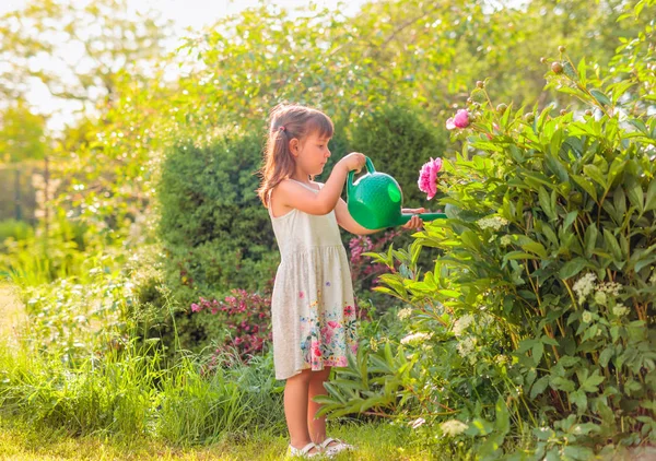 Petite fille arrosant des fleurs dans le jardin. — Photo
