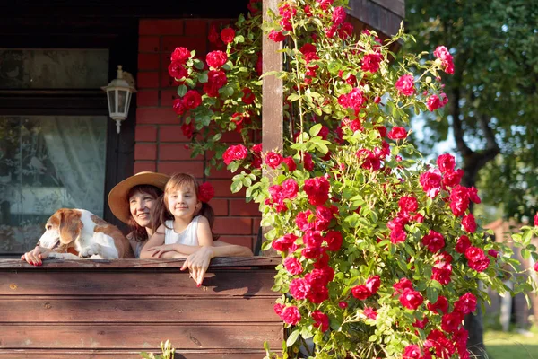 Nipote, nonna e il loro cane sulla veranda del v — Foto Stock