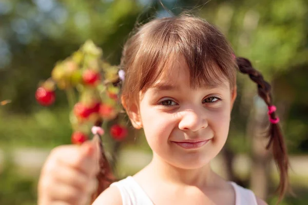 Fresh wild strawberries closeup. Little girl holding strawberry — Stock Photo, Image