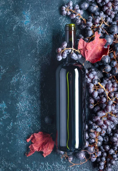 Garrafa de vinho tinto e uvas. — Fotografia de Stock