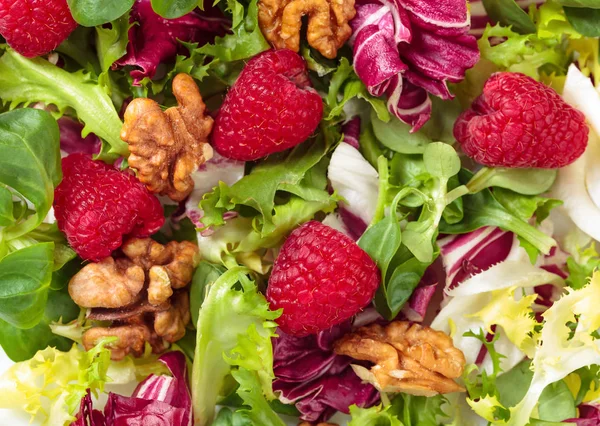 绿色素食沙拉配树莓和坚果 — 图库照片