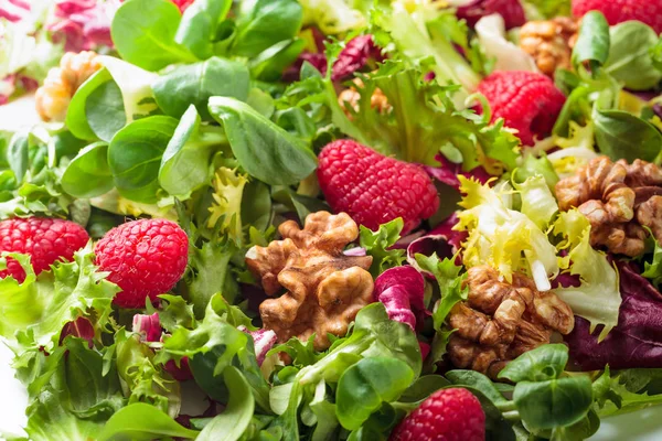 Zelená veganské salát s ořechy a Malina — Stock fotografie