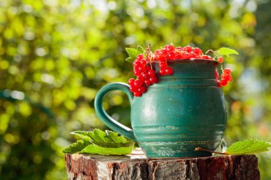 Kavanozda kuşüzümü.