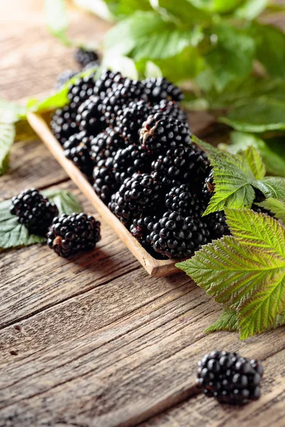 Ripe juicy blackberries with leaves on a wooden table. — Stock Photo, Image