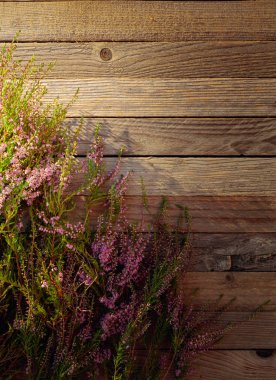 Rustik ahşap arka üzerinde çiçeklenme pembe Heather (Calluna vulgaris)