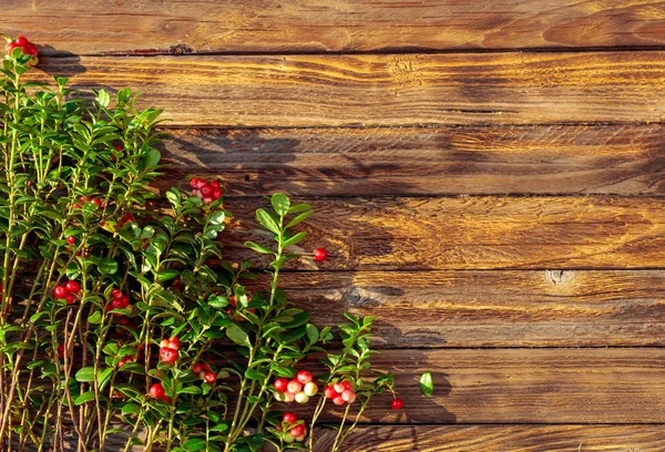 Rami del cowberry su uno sfondo di legno rustico, sopraelevato — Foto Stock