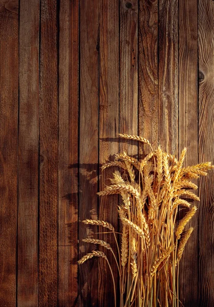 Wheat on a rustic wooden background in sunset light, overhead vi — Stock Photo, Image