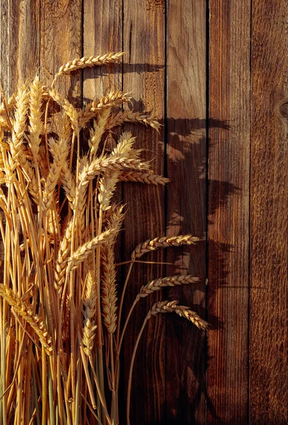 Wheat on a rustic wooden background in sunset light, overhead vi — Stock Photo, Image