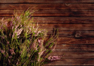 Rustik ahşap arka üzerinde çiçeklenme pembe Heather (Calluna vulgaris)