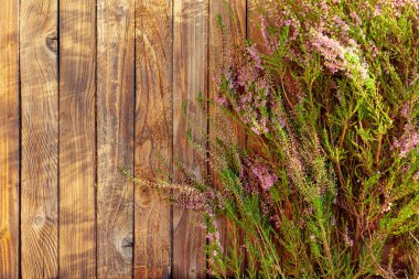 Rustik ahşap arka üzerinde çiçeklenme pembe Heather (Calluna vulgaris)