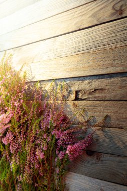 Rustik ahşap arka üzerinde çiçeklenme pembe Heather (Calluna vulgaris)