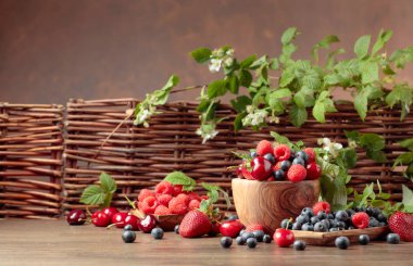 Çilek renkli çeşitli Mix, yaban mersini, 