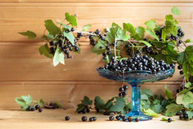 Ahşap arka plan üzerinde yaprakları ile taze olgun siyah kuş üzümü.