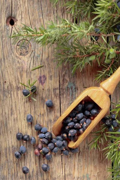 Juniper branch and wooden spoon with berries on a old wooden bac — Stock Photo, Image