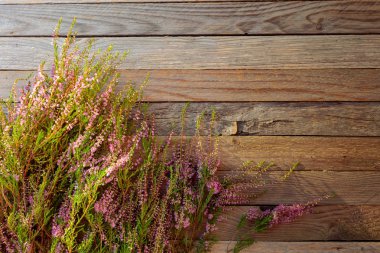 Rustik ahşap arka üzerinde çiçeklenme pembe Heather (Calluna vulgaris)