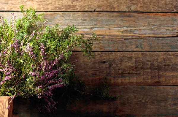 Цветущая ветвь вереска и можжевельника с ягодами на деревянной бабе — стоковое фото