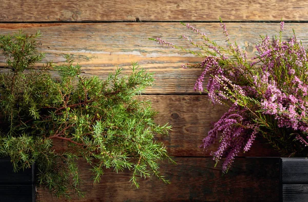 Blooming heather and juniper branch with berries on a  wooden ba — Stock Photo, Image