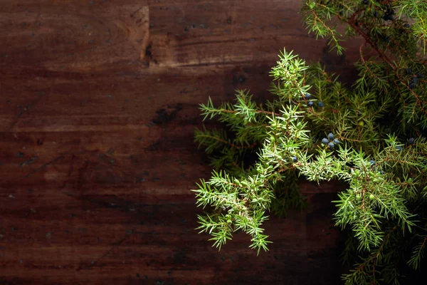 Branche de genièvre avec baies sur un vieux fond en bois . — Photo