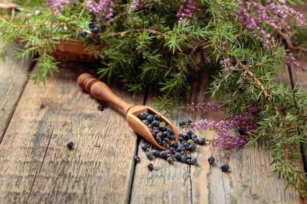 Cucchiaio di legno con semi di ginepro . — Foto Stock