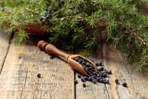 Wooden spoon with seeds of juniper. — Stock Photo, Image