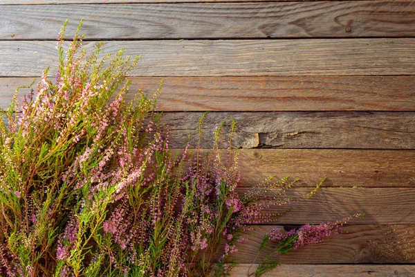 Kvetoucí růžová vřes (Calluna vulgaris) na rustikální dřevěné zadní — Stock fotografie