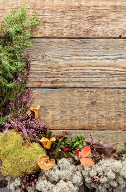 Farklı Kuzey bitkileri ve çilek ile eski ahşap arka plan