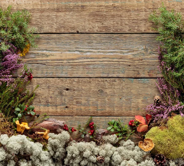 Старый деревянный фон с различными северными растениями и ягодами — стоковое фото