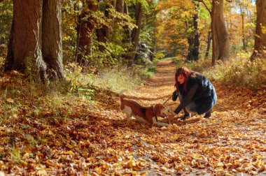 Sonbahar parkında bir köpekle yürüyen genç kadın. 