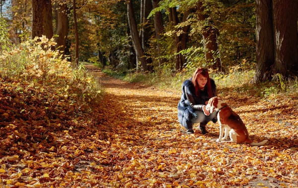 Młoda kobieta chodząca z psem w jesiennym parku. — Zdjęcie stockowe