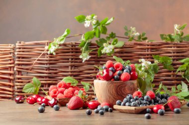 Çilek renkli çeşitli Mix, yaban mersini, 