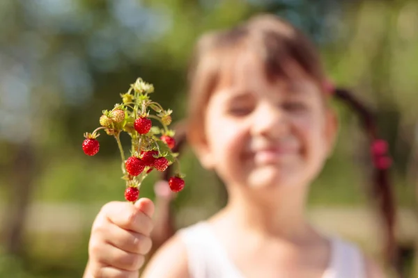 Fresh wild strawberries closeup. Little girl holding strawberry — Stock Photo, Image