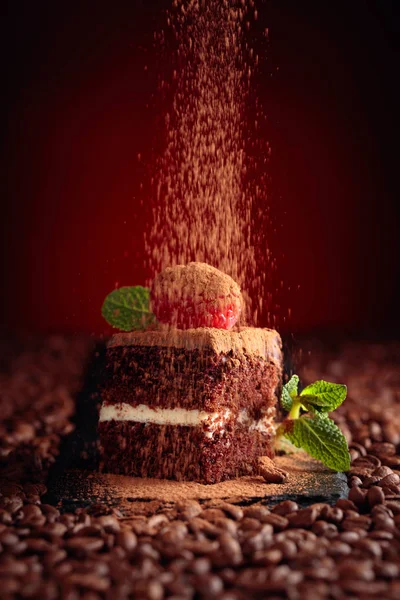 Ciasto czekoladowe z mięty i maliny. — Zdjęcie stockowe