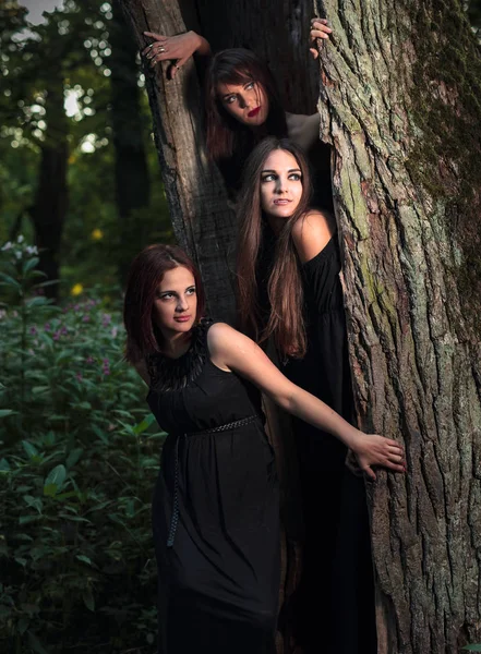 Drei junge Frauen mit langen Haaren in Hexenanzügen im Wald. — Stockfoto