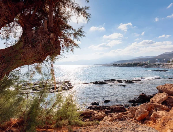 The Harbor of the Resort Chersonissos, Kreta, Griekenland. — Stockfoto