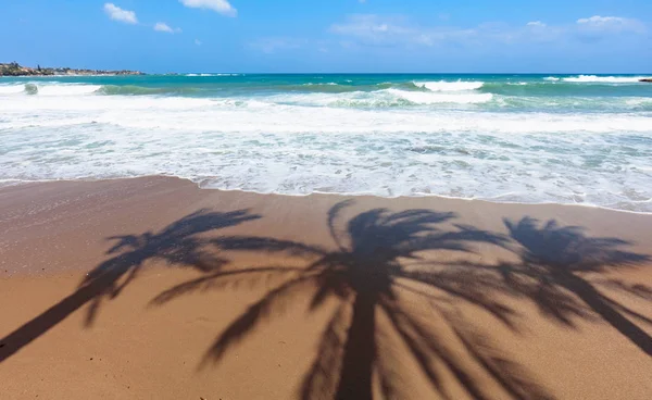 Plage tropicale vierge avec des ombres de palmiers sur un sable . — Photo