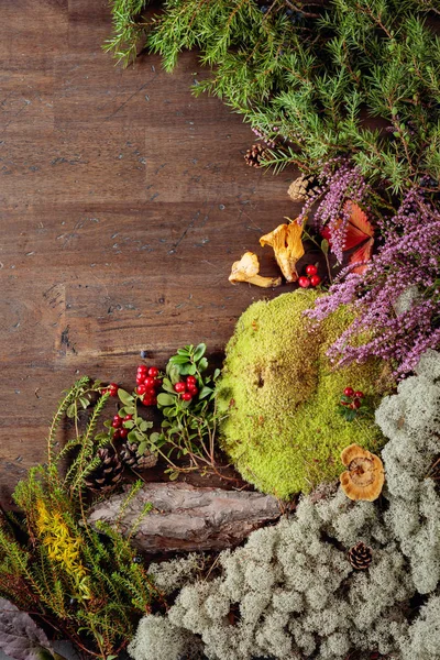Старый деревянный фон с различными северными растениями и ягодами — стоковое фото