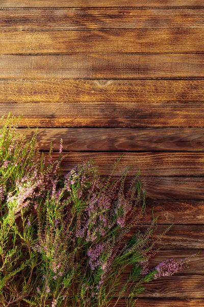 Blooming pink heather (calluna vulgaris) on a rustic wooden back — Stock Photo, Image