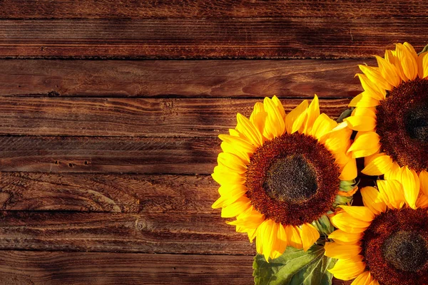 盛开的向日葵在质朴的木制背景,头顶景色 — 图库照片
