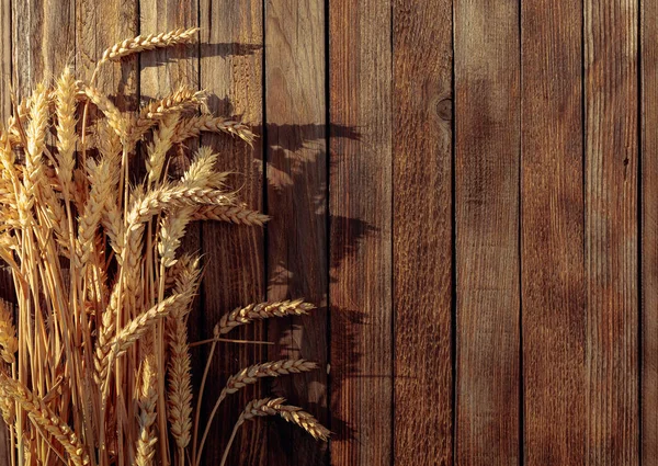 Wheat on a rustic wooden background in sunset light, overhead vi — Stock Photo, Image