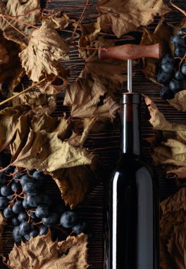 Tirbuşonlu kırmızı şarap şişesi. Bir masada kurutulmuş asma yaprakları 