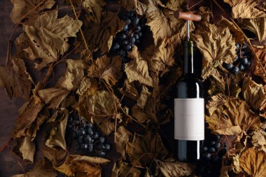 Tirbuşonlu kırmızı şarap şişesi. Bir masada kurutulmuş asma yaprakları 
