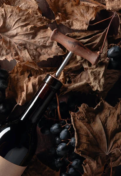 Frasco de vinho tinto com saca-rolhas. Em uma mesa folhas de videira secas — Fotografia de Stock
