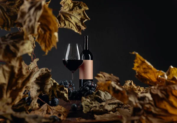 Bottiglia e bicchiere di vino rosso su un tavolo con foglie di vite essiccate a — Foto Stock