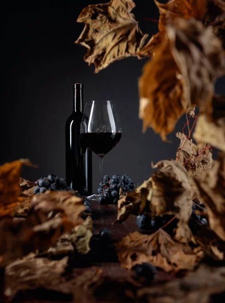 Garrafa e copo de vinho tinto em uma mesa com videira seca deixa um — Fotografia de Stock