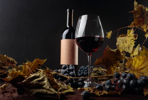 Botella y copa de vino tinto sobre una mesa con hojas de vid secas a —  Fotos de Stock