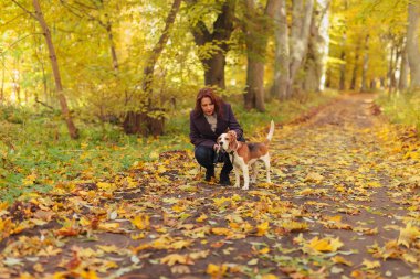 kadın ile köpek sonbahar Park