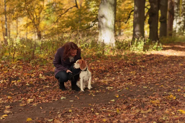 Spaziergang im Park — Stockfoto