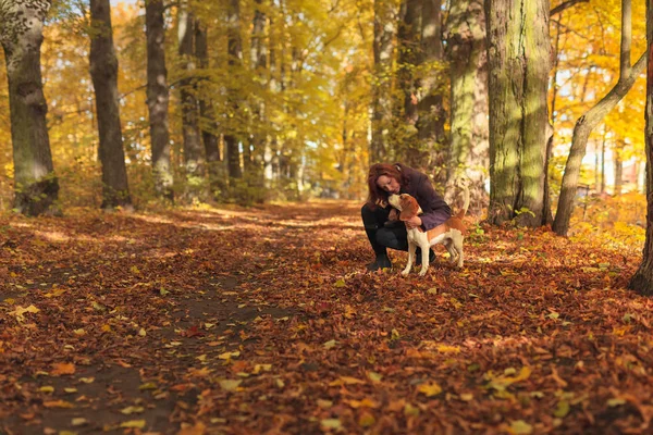 Mulher com cão no parque de outono — Fotografia de Stock