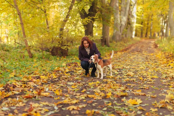 Donna con cane nel parco autunnale — Foto Stock