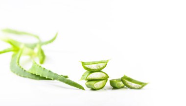 Aloe Vera 'yı kes beyaz arkaplanda bırakır. 